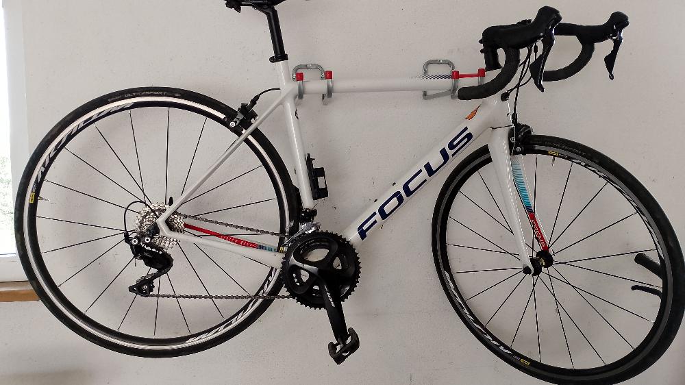 Fahrrad verkaufen FOCUS Focus Izalco Race Ankauf